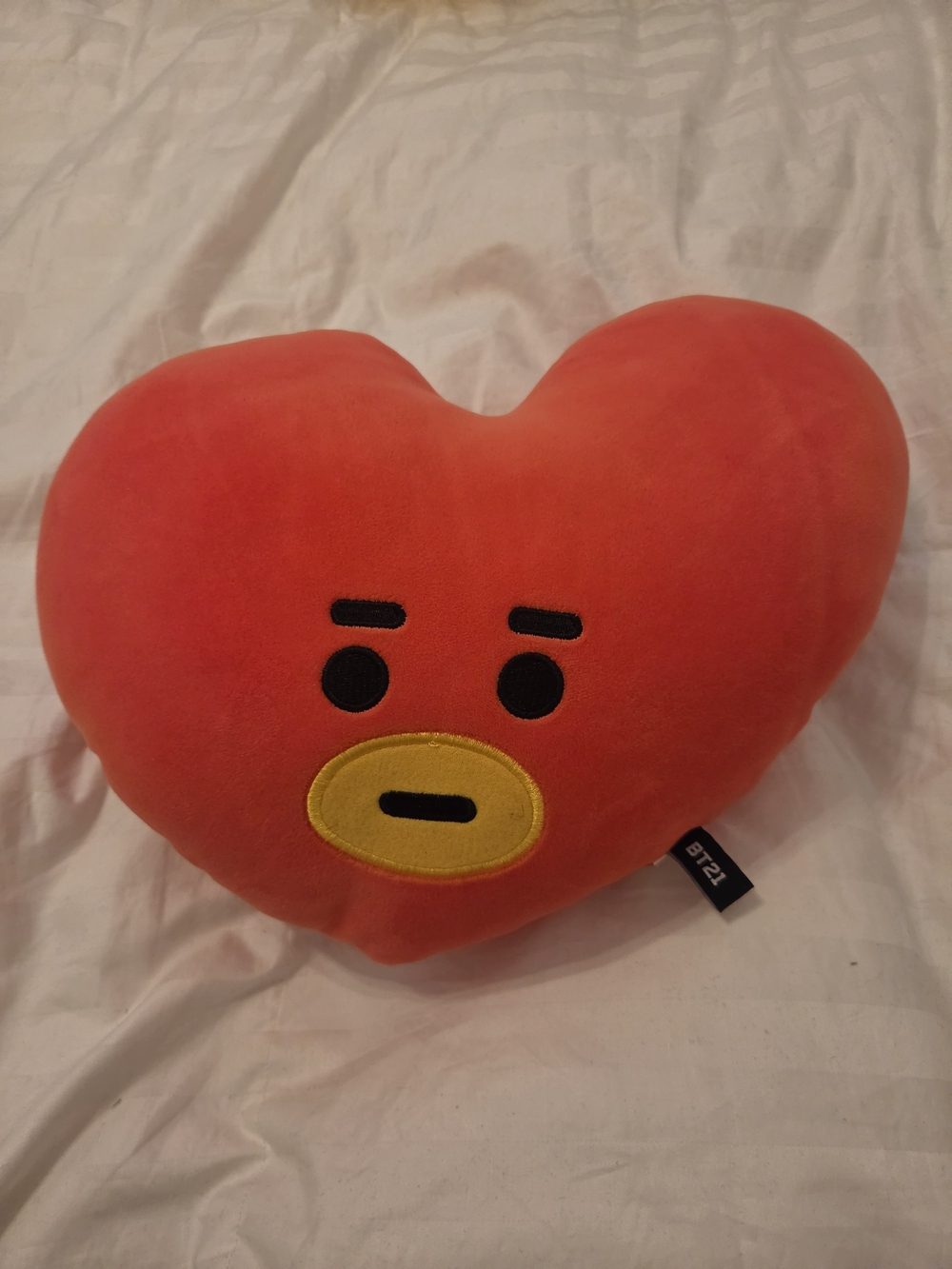 TATA Heart Plush Pillow